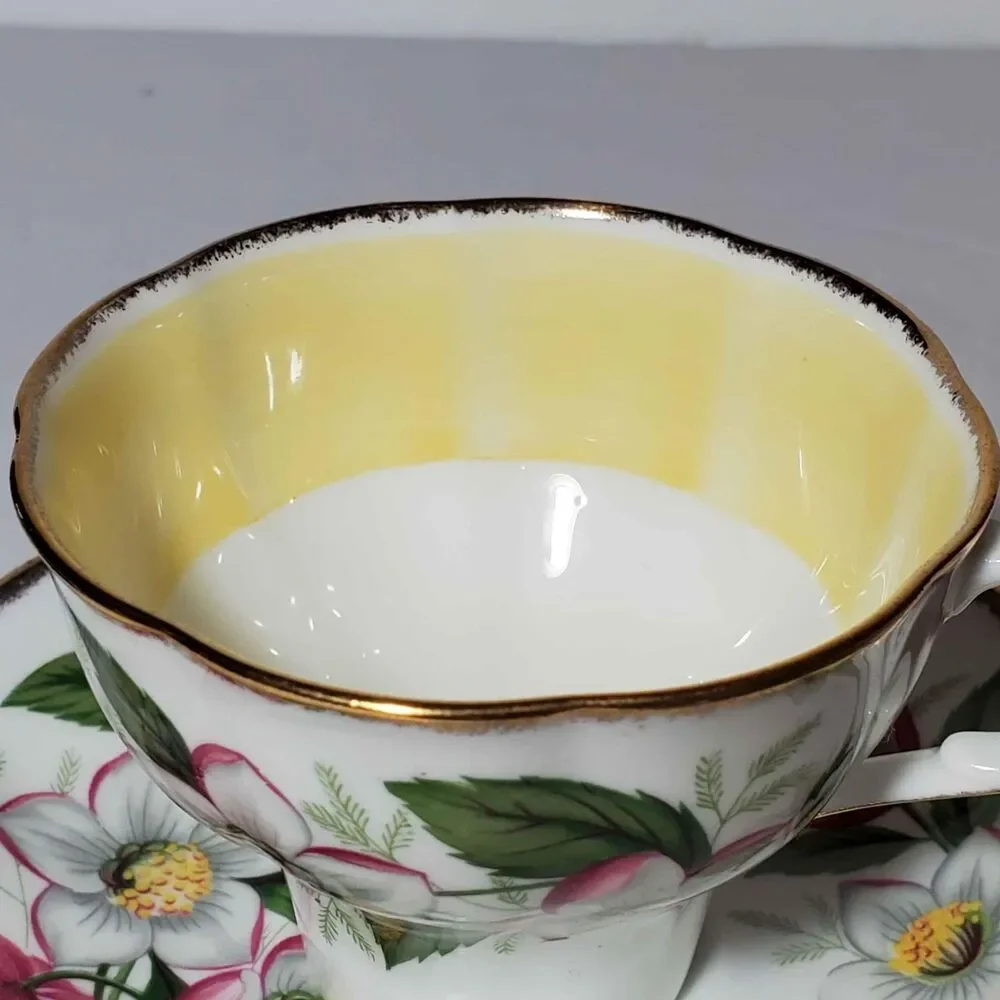 Jason Teacup and Saucer White Pink Flowers Vintage